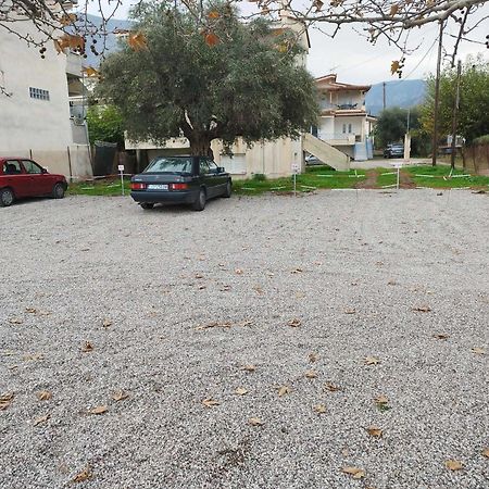 Dimitropoulos Apartments Eleonas Exteriör bild